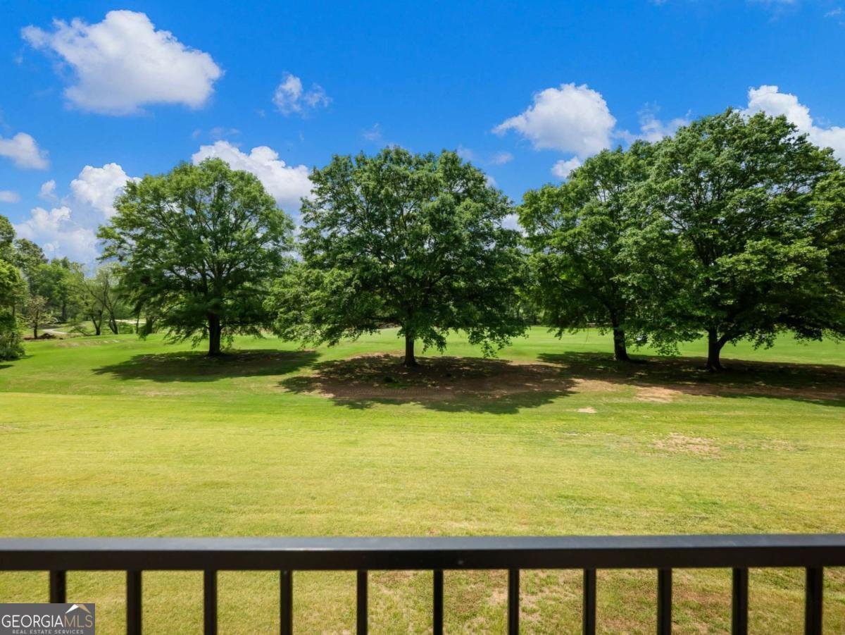 4600 Pinot Noir Drive Braselton - 85