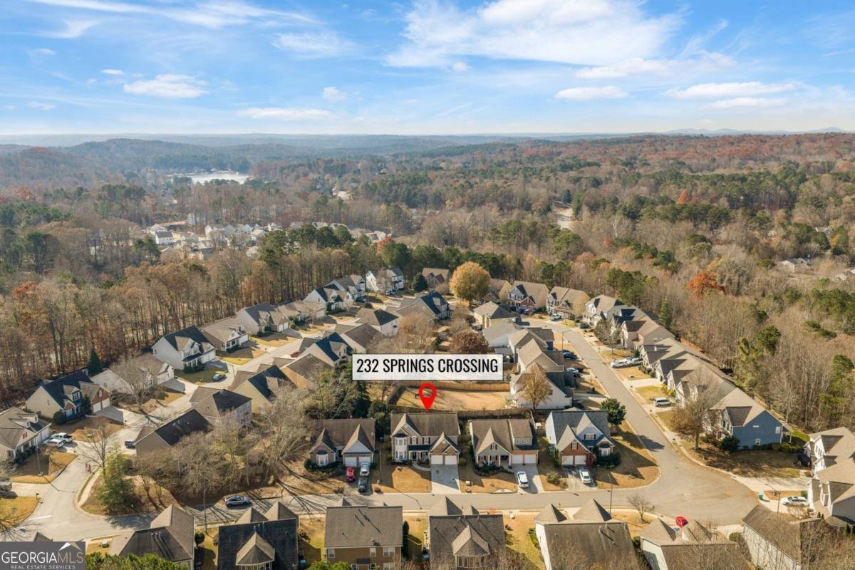 232 Springs Crossing Canton - 3