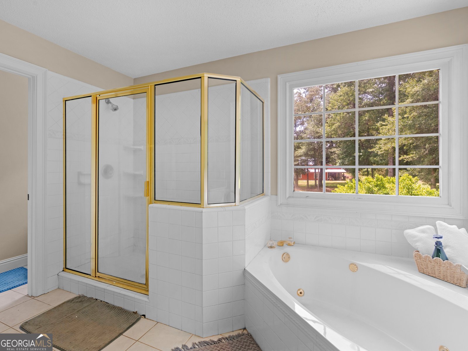 1360 Luella Road Locust Grove - 28