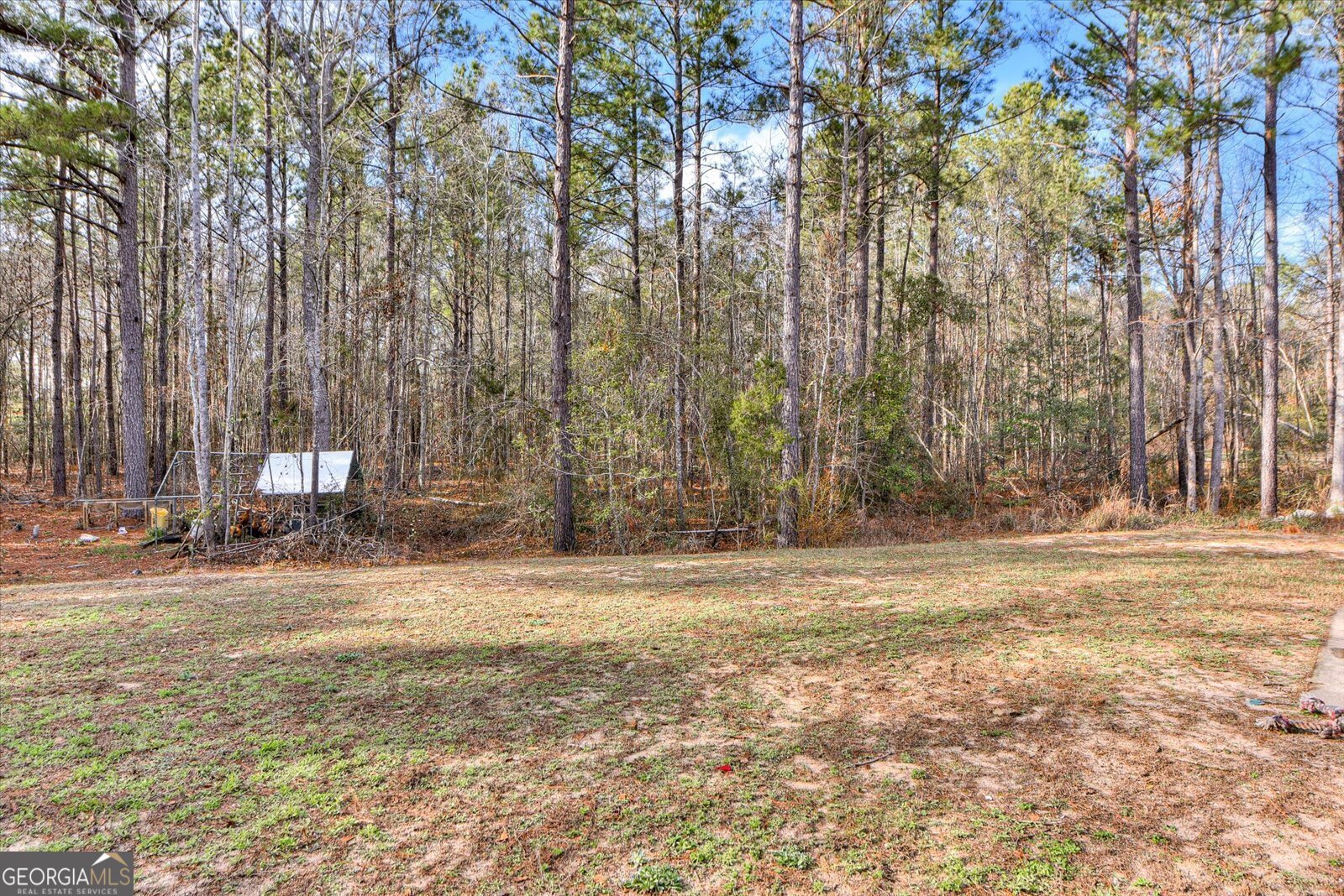 1234 Stapleton Acres Road Stapleton - 25