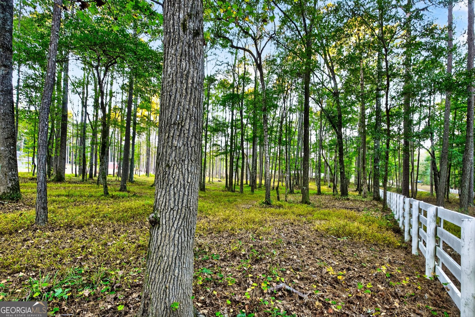 385 Huckaby Road Brooks - 62