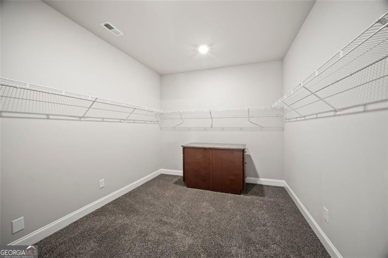 366 Newberry Estates Crossing Senoia - 12