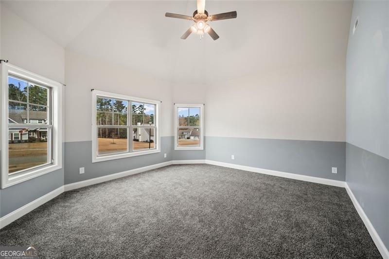 366 Newberry Estates Crossing Senoia - 30