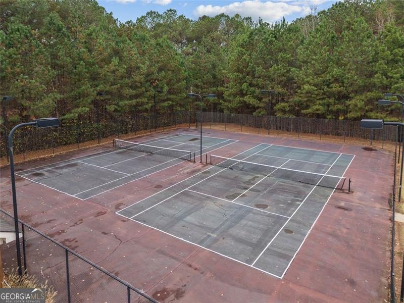 366 Newberry Estates Crossing Senoia - 38