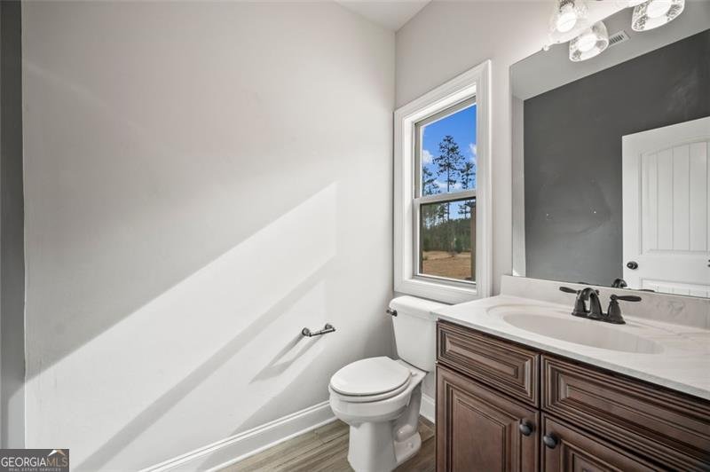 366 Newberry Estates Crossing Senoia - 42