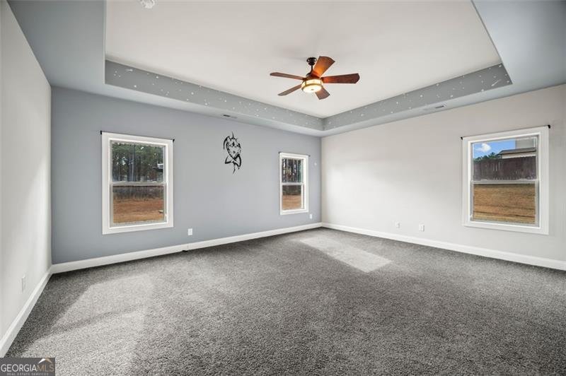 366 Newberry Estates Crossing Senoia - 49