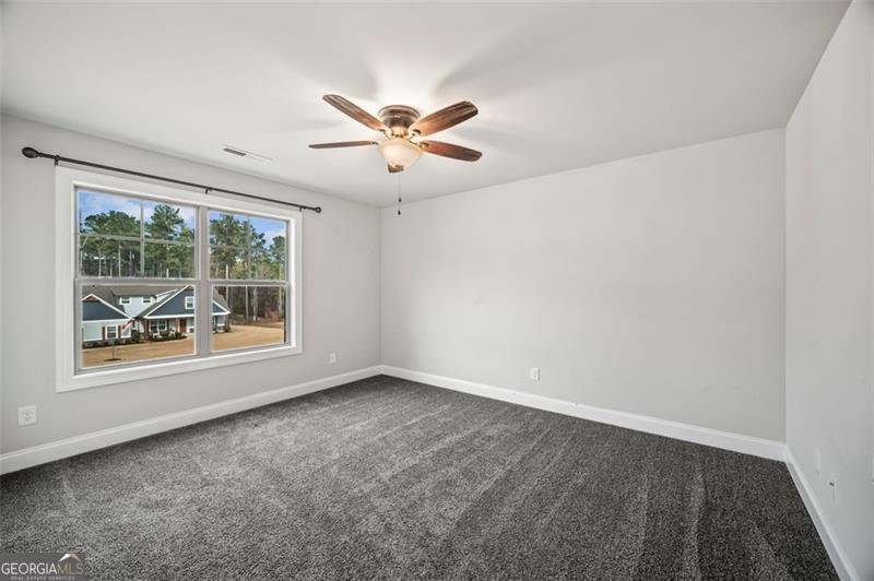 366 Newberry Estates Crossing Senoia - 54