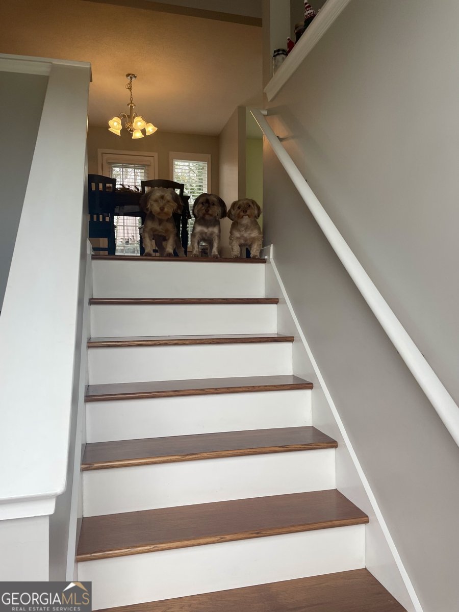 132 Sydney Summit Villa Rica - 4