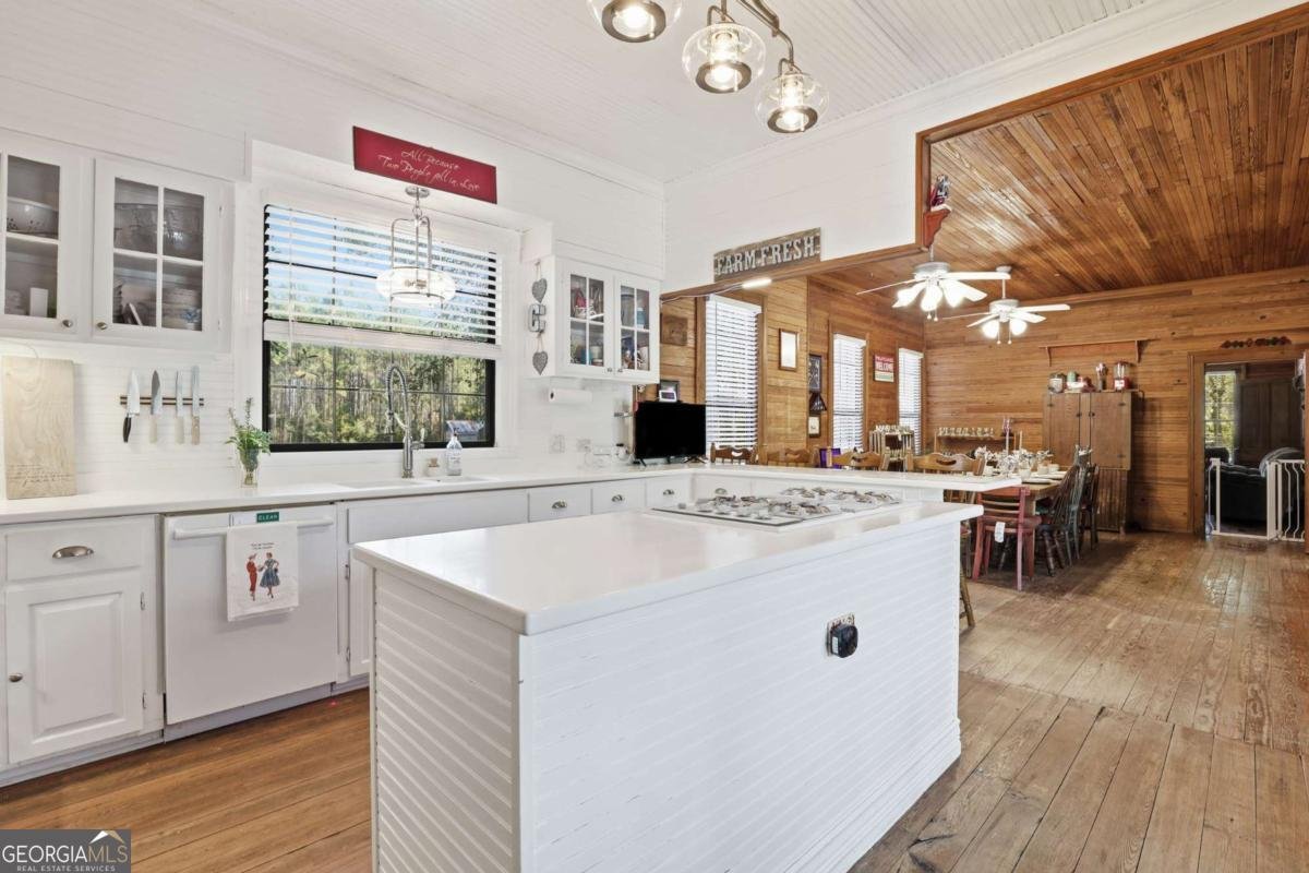 4931 Mill Branch Hunting Club Road Pembroke - 20