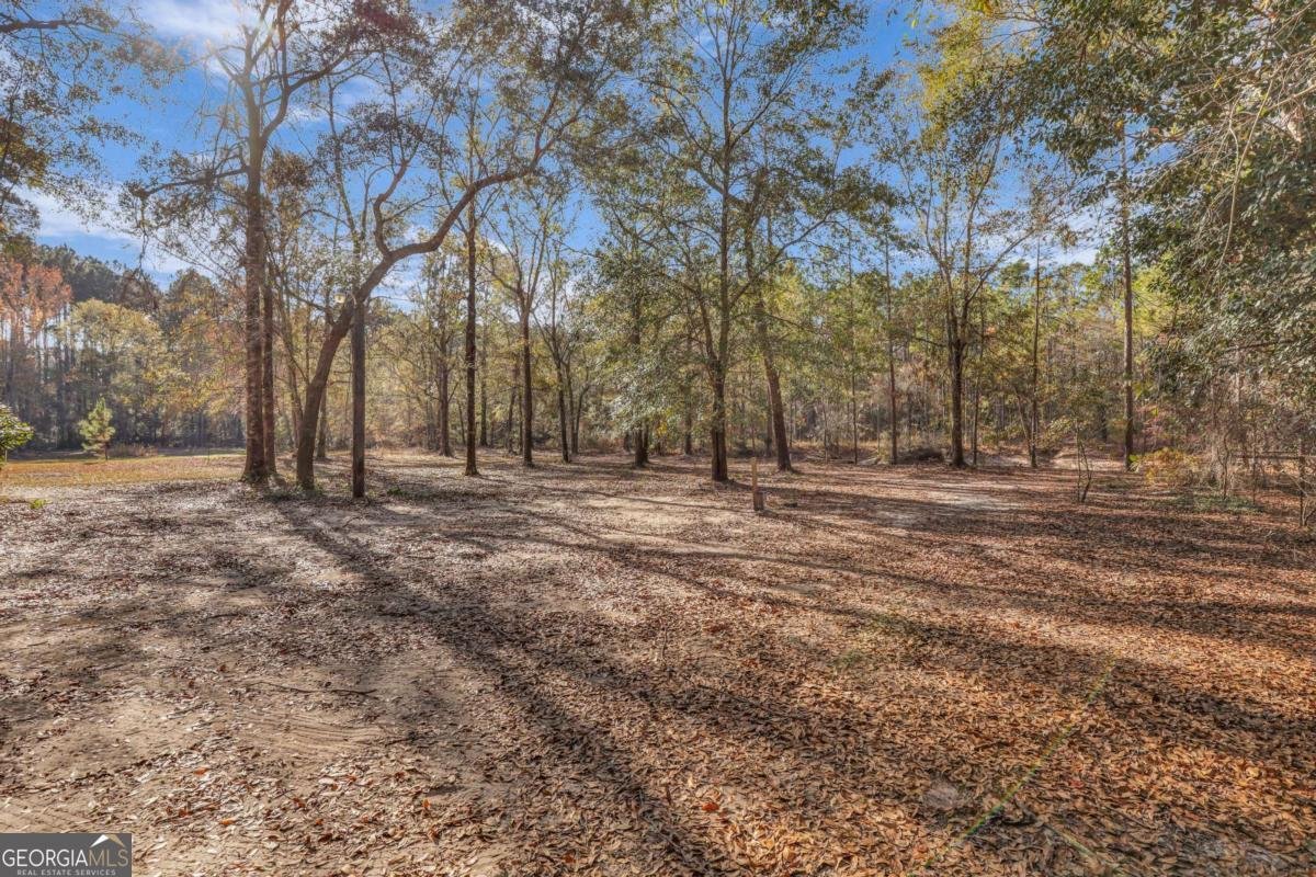 4931 Mill Branch Hunting Club Road Pembroke - 54