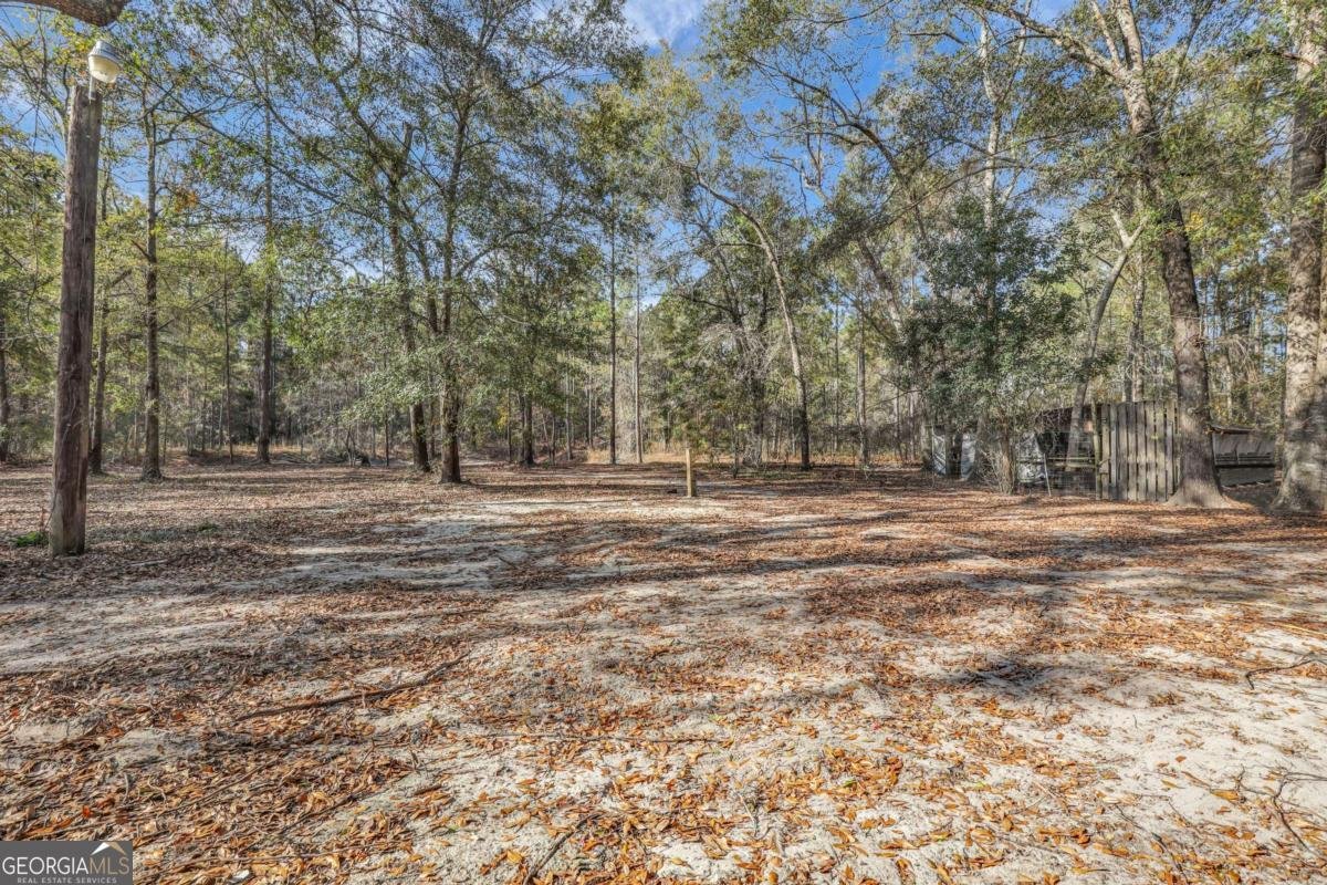 4931 Mill Branch Hunting Club Road Pembroke - 55