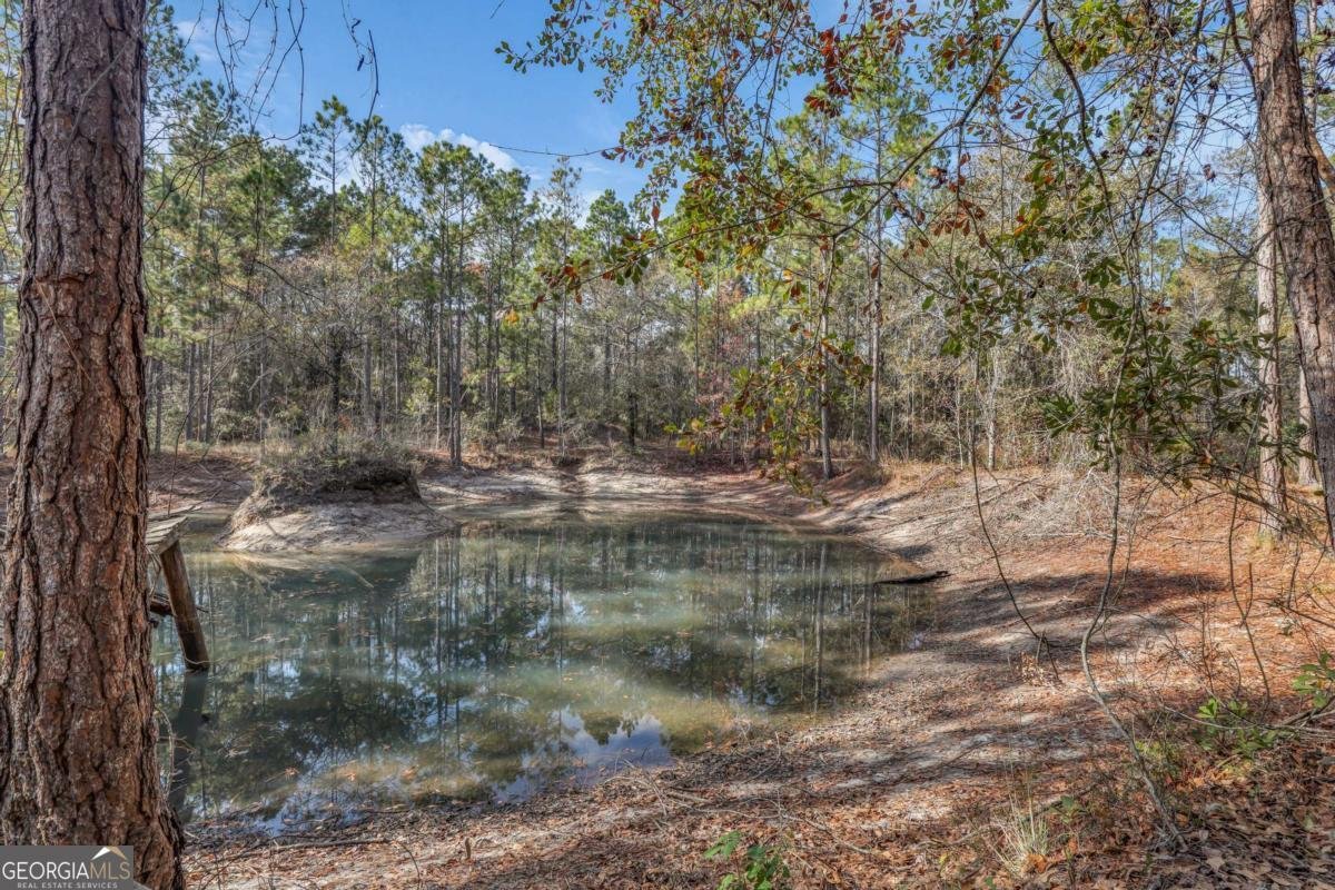 4931 Mill Branch Hunting Club Road Pembroke - 59