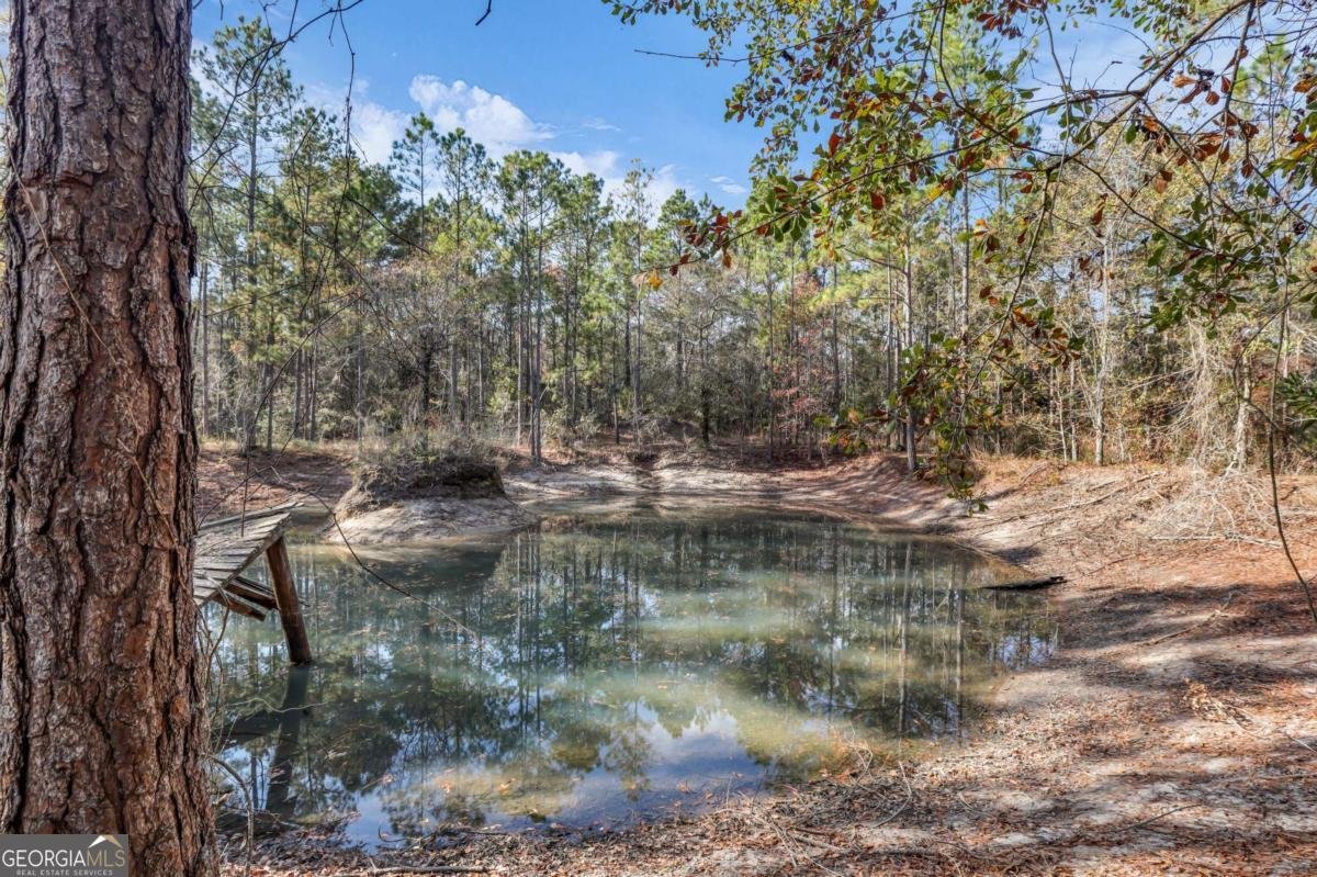 4931 Mill Branch Hunting Club Road Pembroke - 60