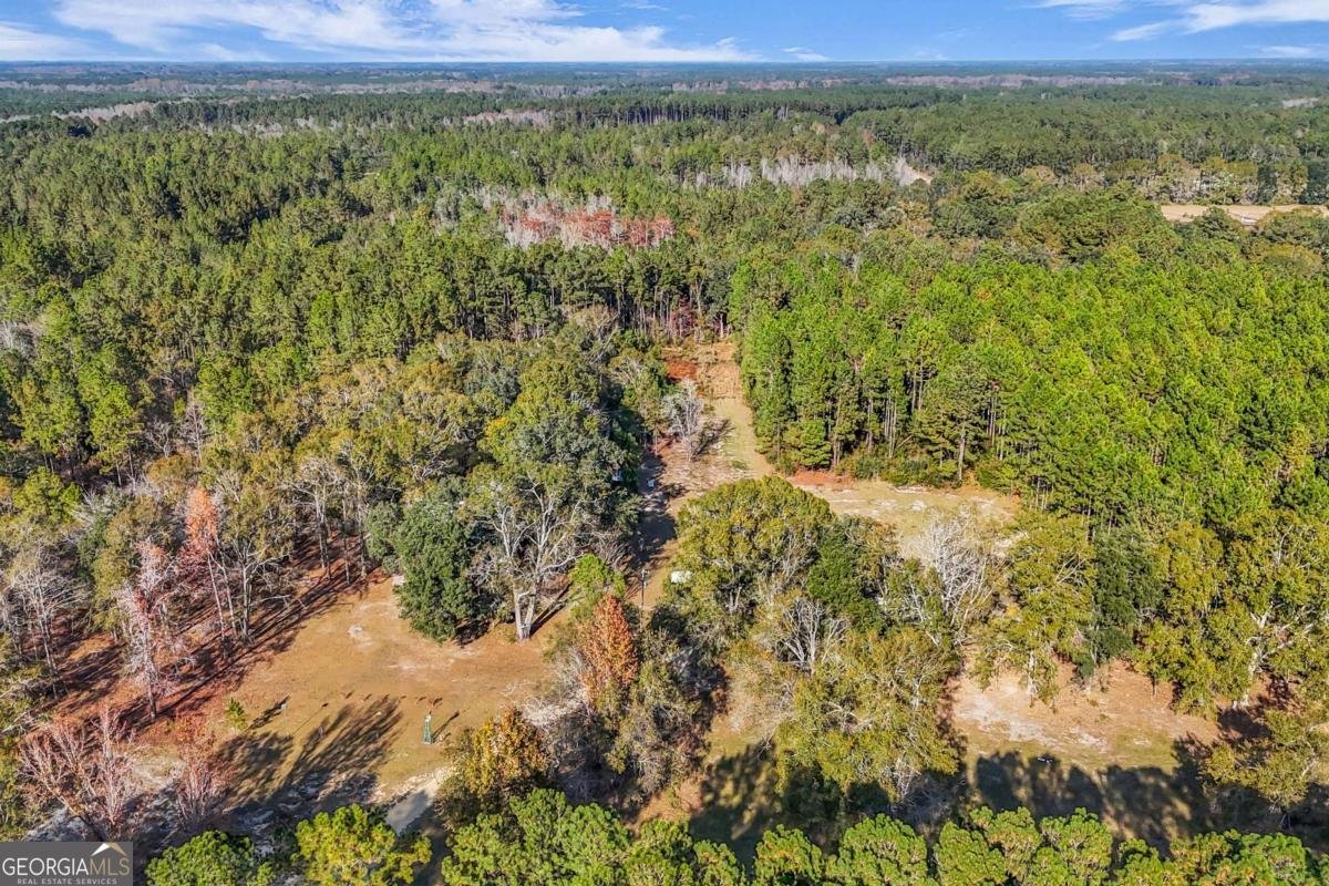 4931 Mill Branch Hunting Club Road Pembroke - 62