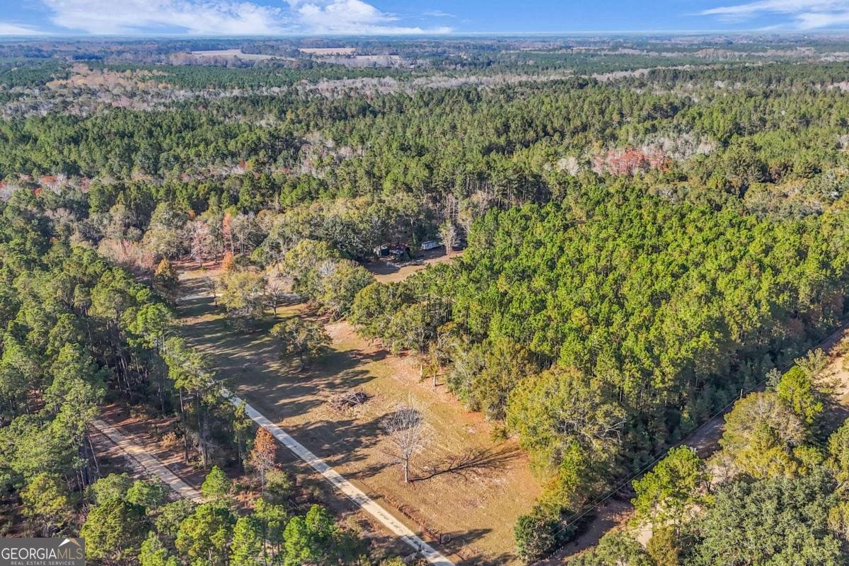 4931 Mill Branch Hunting Club Road Pembroke - 63