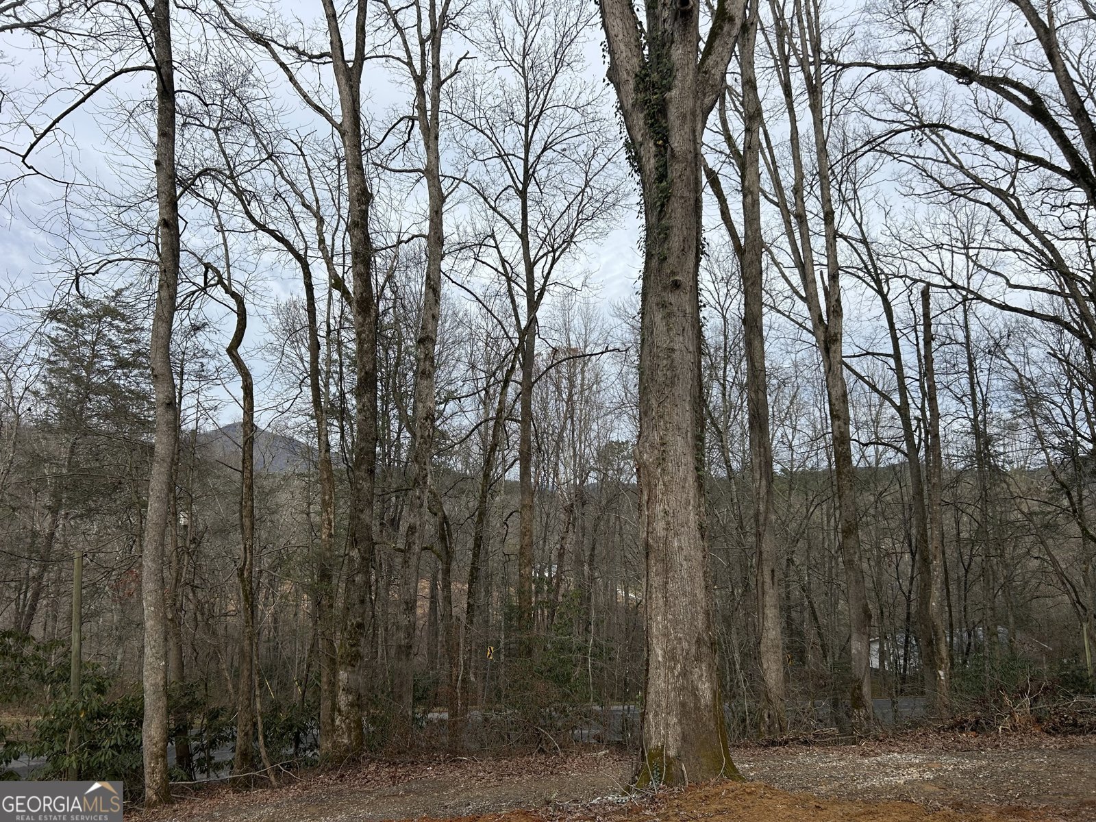 1410 Skylake Road Sautee Nacoochee - 15