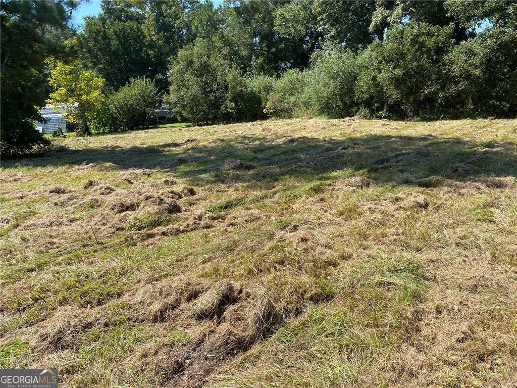 2363 Alvin Joiner Road Dublin - 4