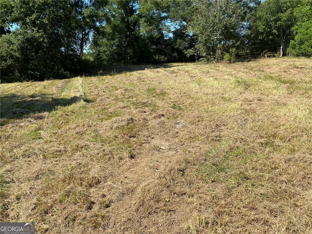 2363 Alvin Joiner Road Dublin - 6