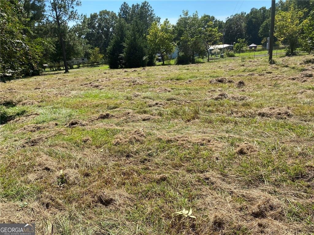 2363 Alvin Joiner Road Dublin - 8