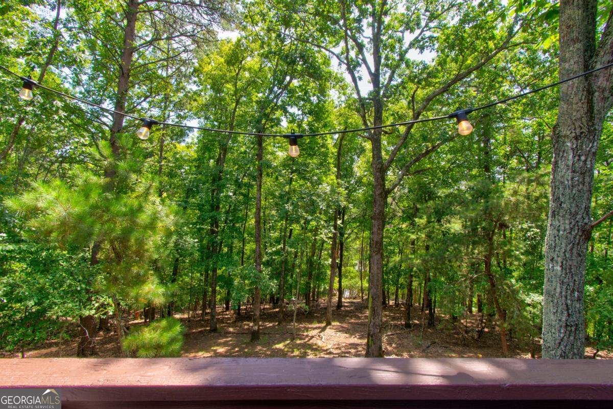 7 Mountain View Court Waleska - 17