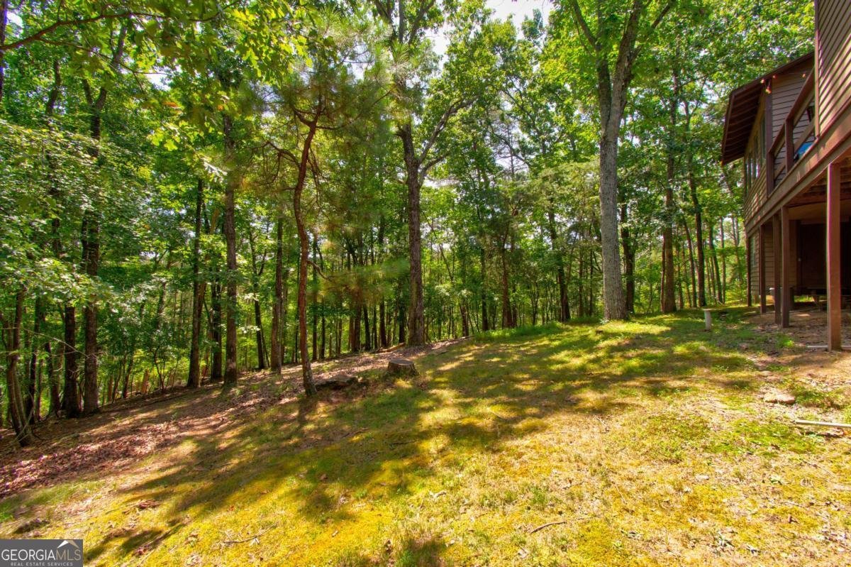 7 Mountain View Court Waleska - 29