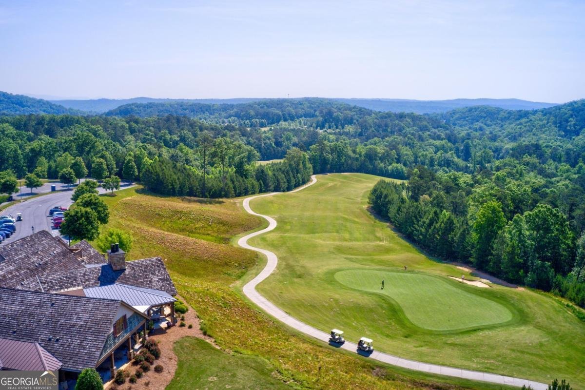 7 Mountain View Court Waleska - 38