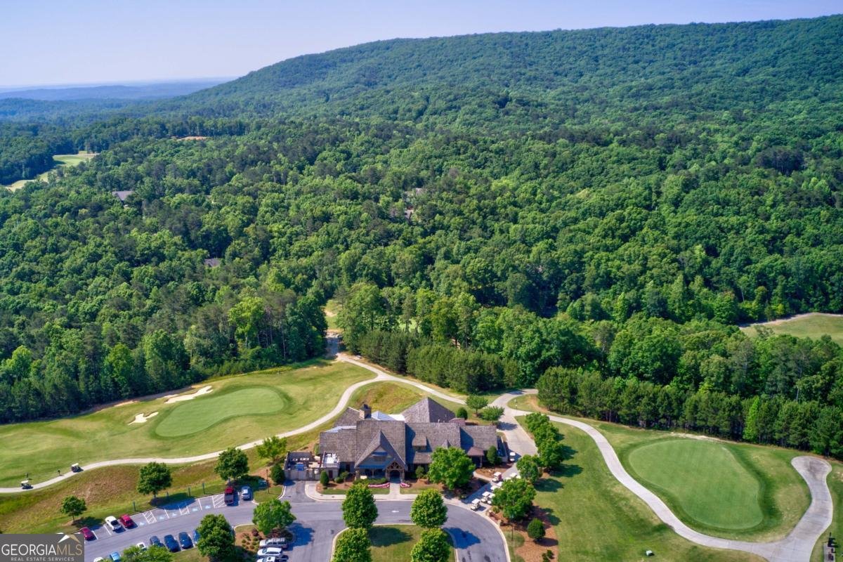 7 Mountain View Court Waleska - 39