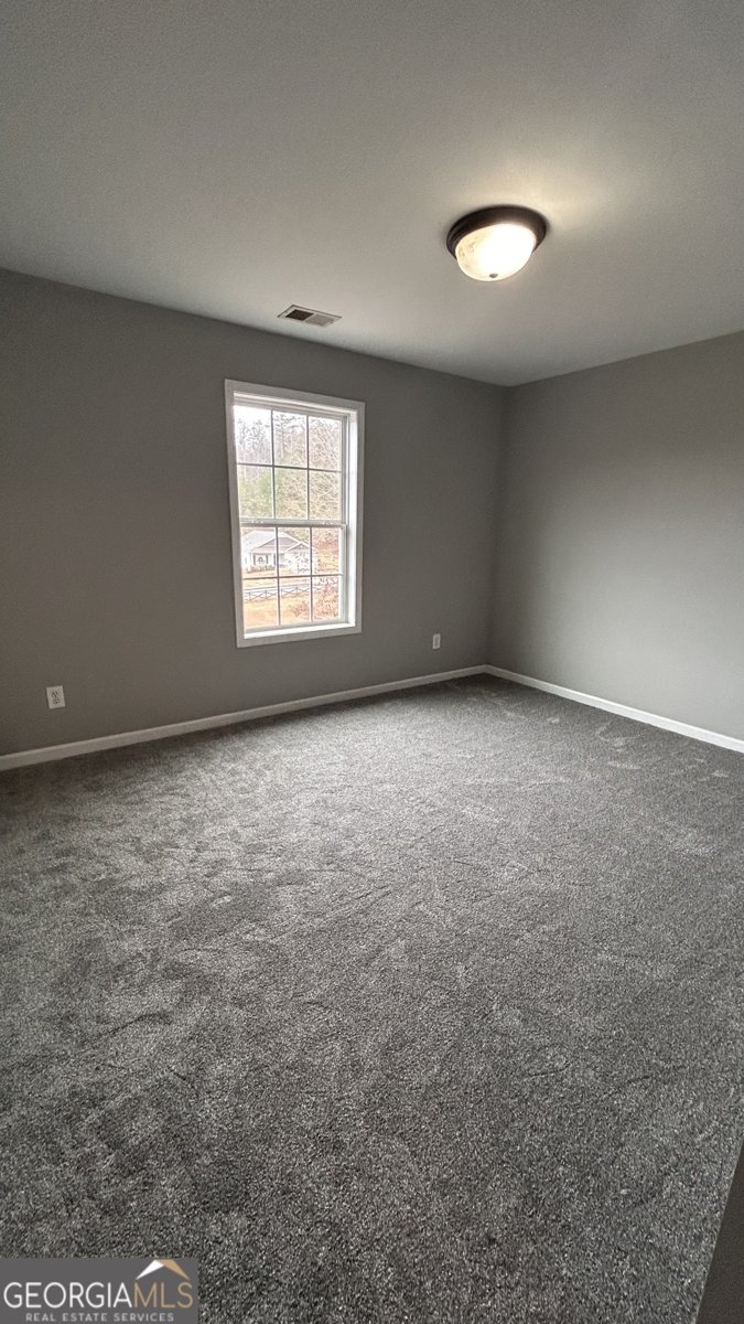 145 Arbor Chase Parkway Rockmart - 21