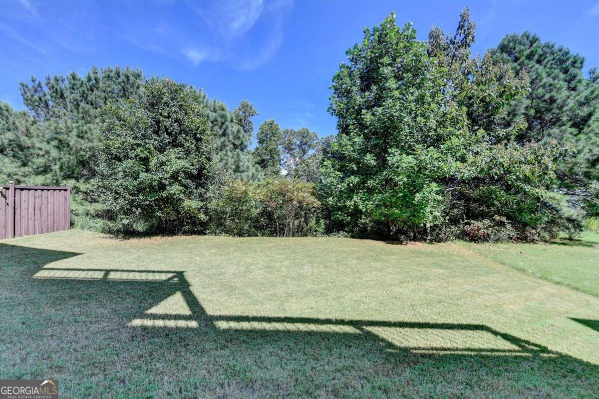 3945 MEDLEY Way Cumming - 50