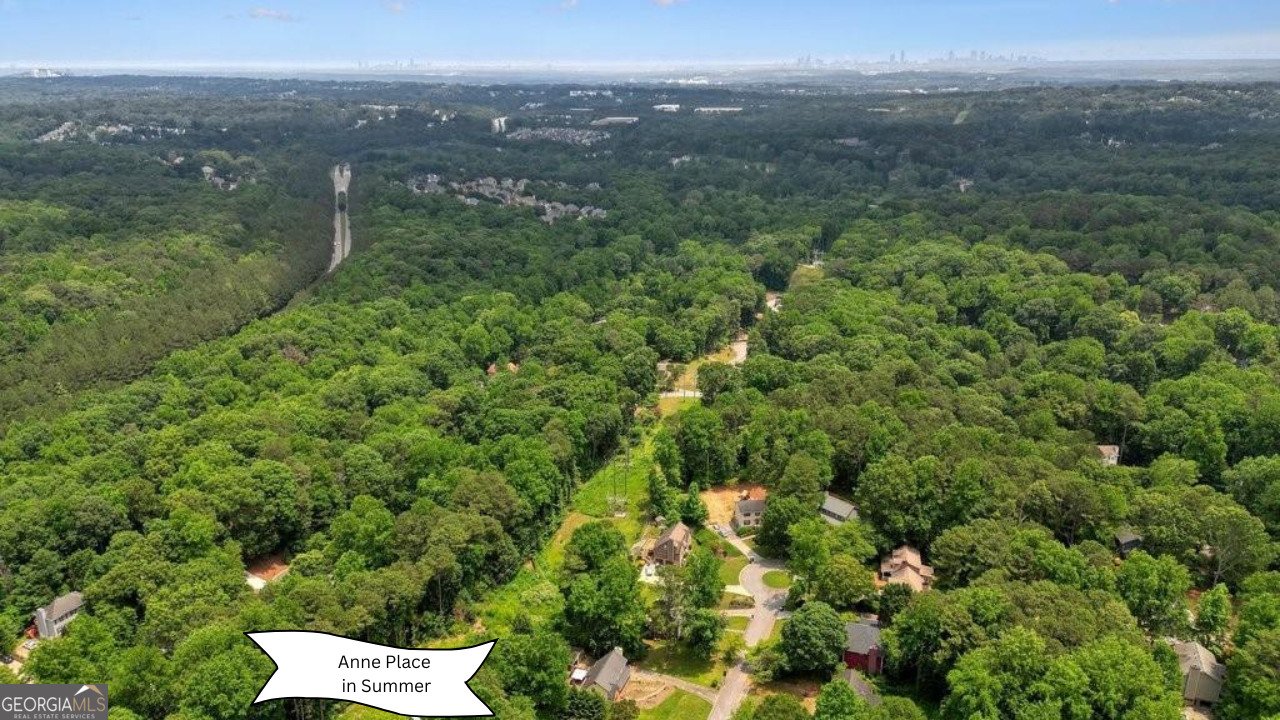 51 Queen Anne Drive Mableton - 55