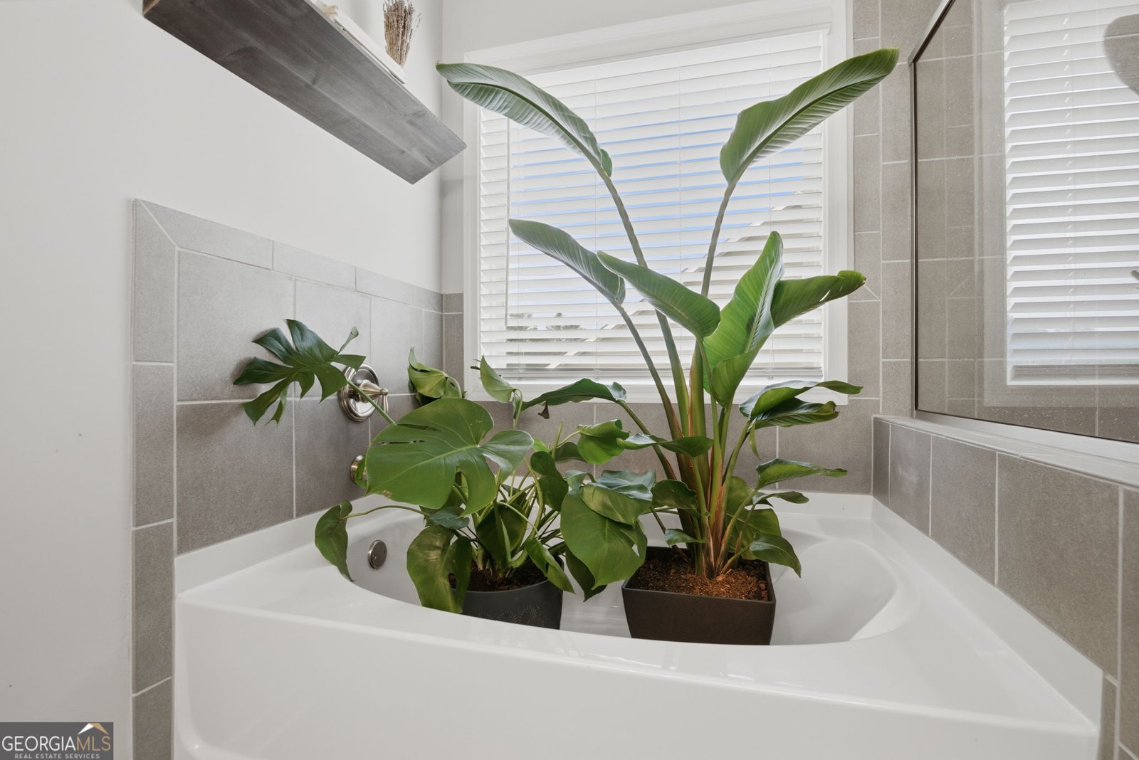 619 Little Bear Loop Canton - 26