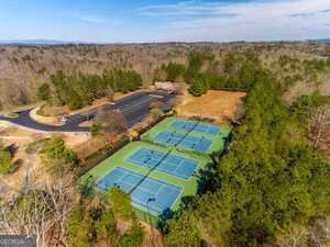 619 Little Bear Loop Canton - Photo 42