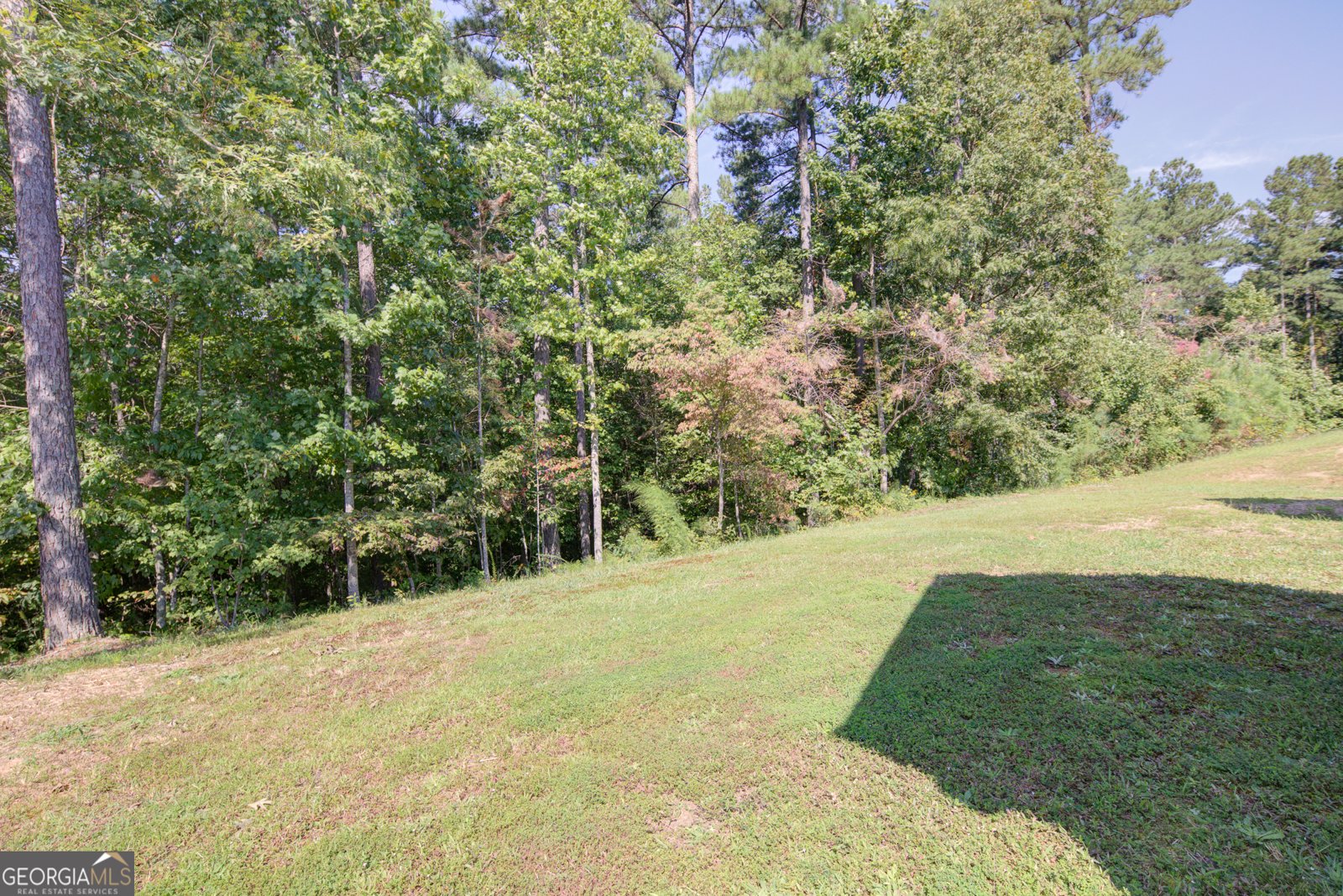 9 Woods Court Dahlonega - 28