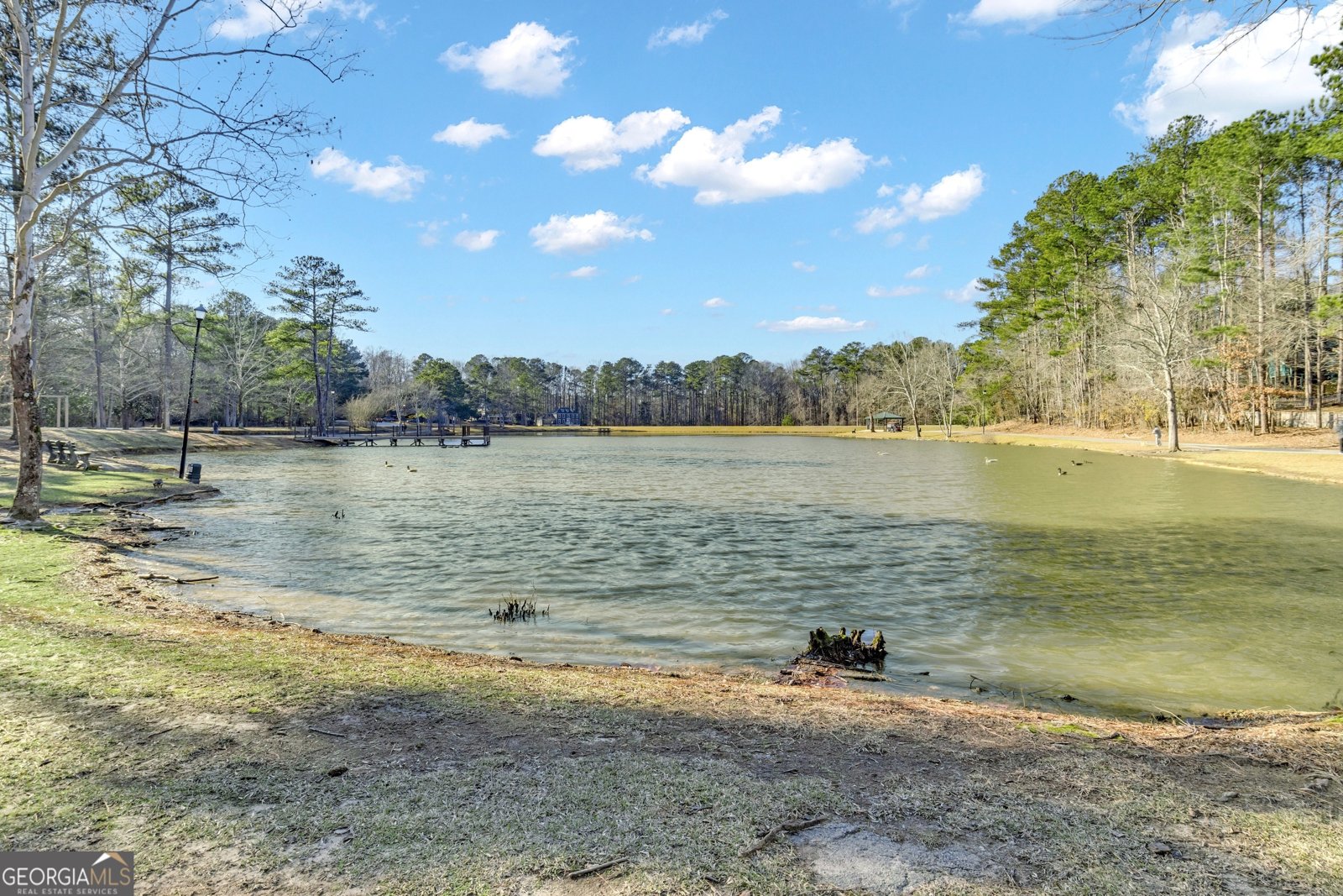 100 Tuliptree Terrace Peachtree City - 50