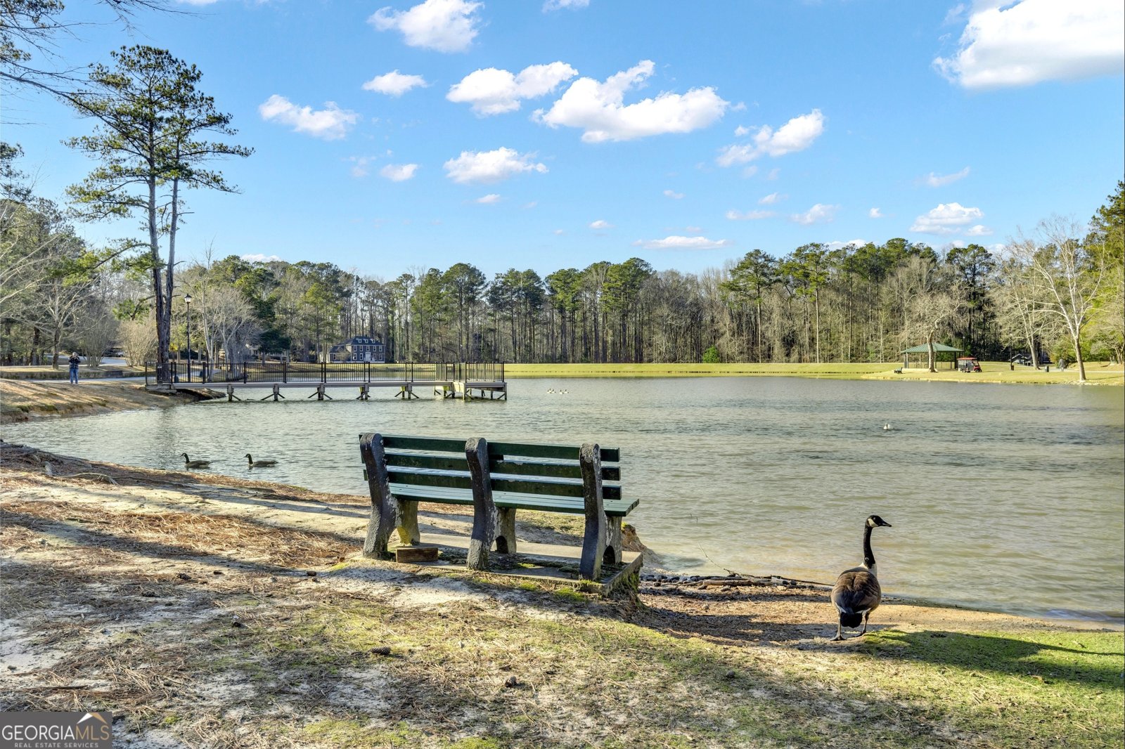 100 Tuliptree Terrace Peachtree City - 51