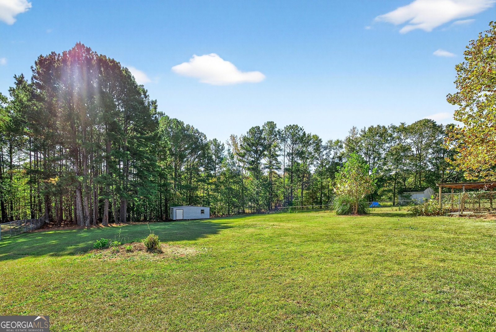 1250 Dolly Nixon Road Senoia - 18