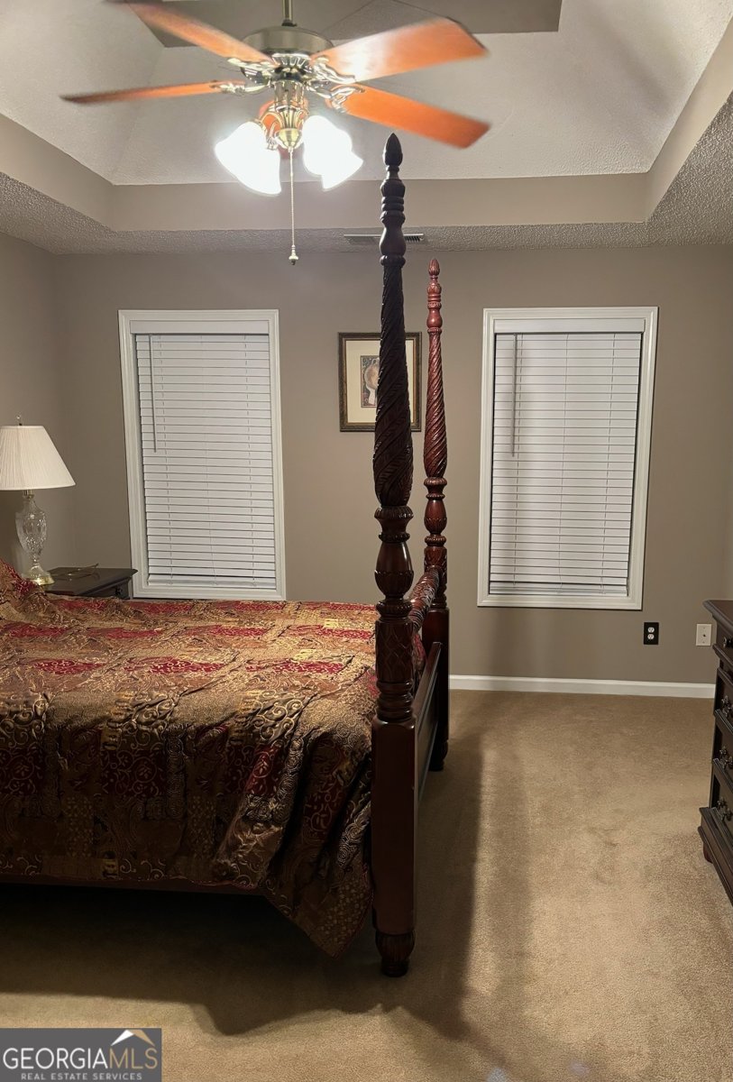 1129 River Green Court McDonough - 4