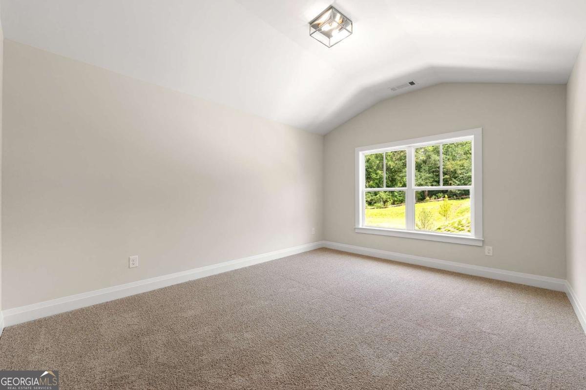 1205 Sterlington Drive Canton - 28