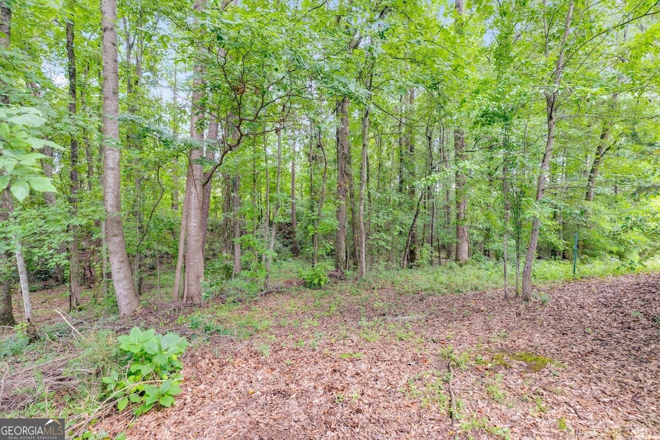 116 Manor Way Carrollton - 33