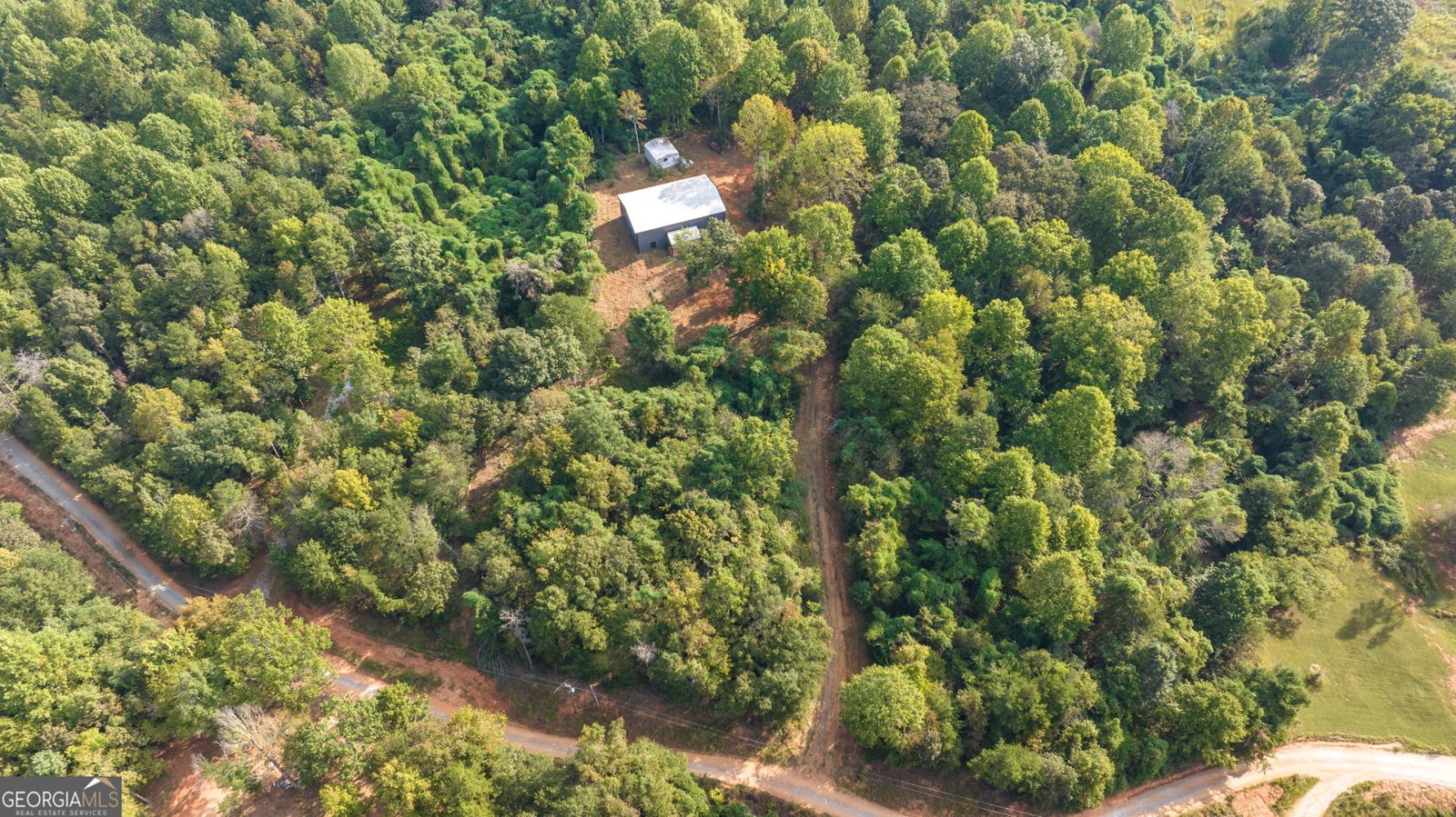 152 Lois Lane Homer - 10