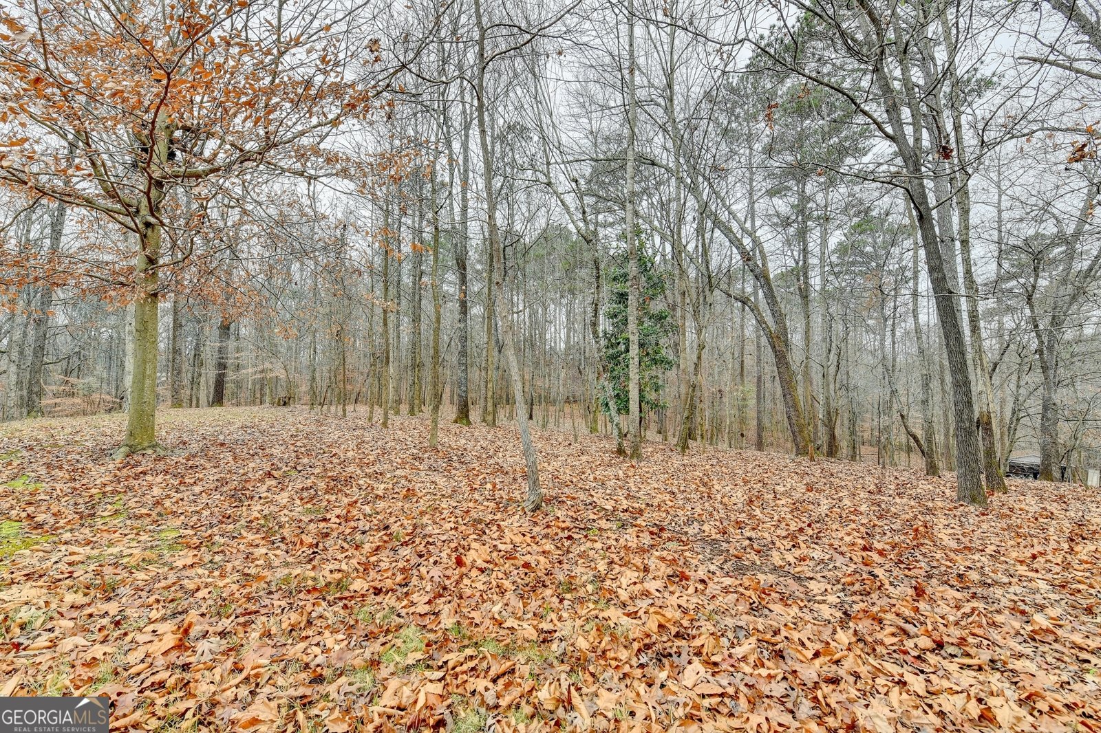 3500 Alexander Circle Cumming - 53