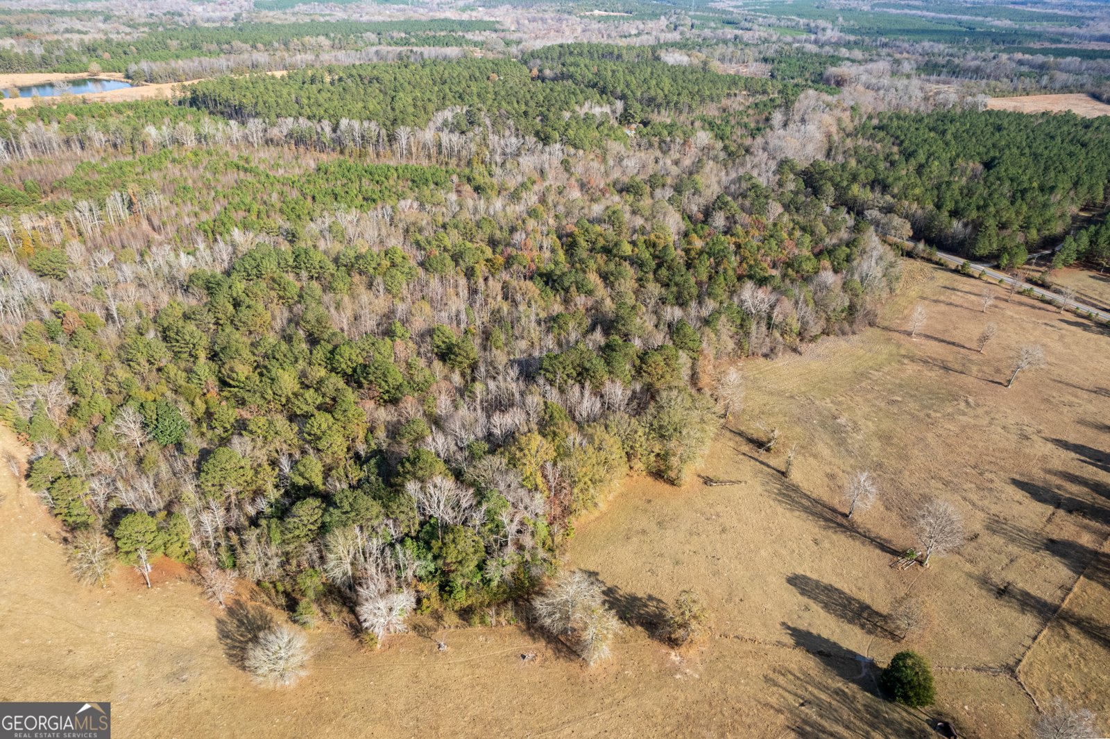 485 Thompson Road Sparta - 17