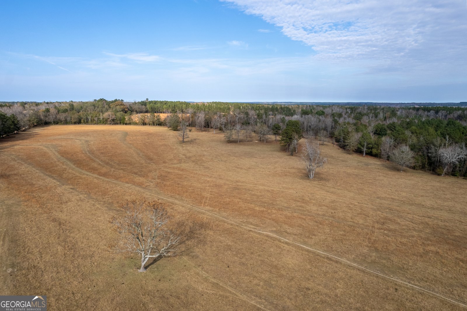 485 Thompson Road Sparta - 6