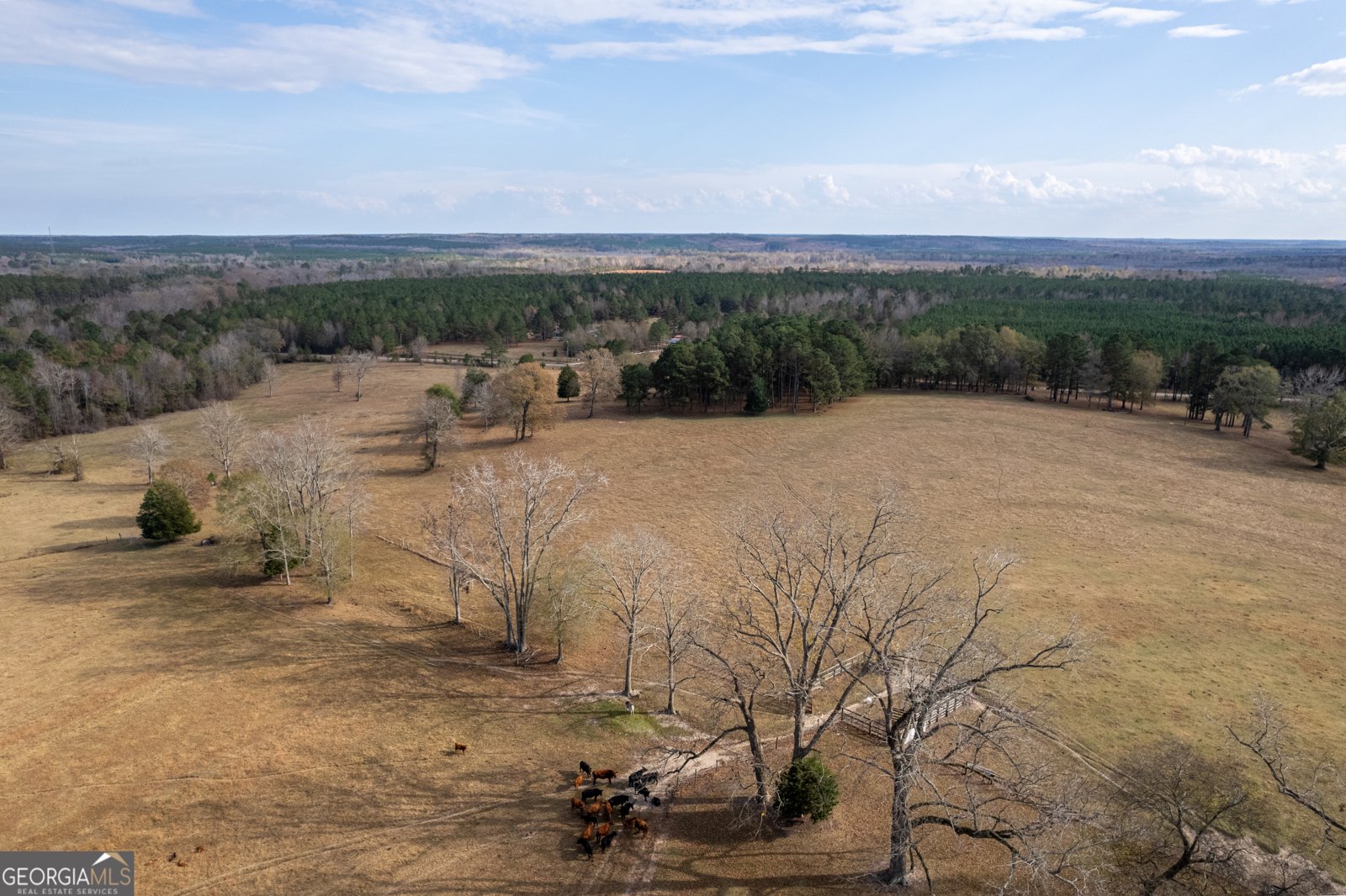 485 Thompson Road Sparta - 7