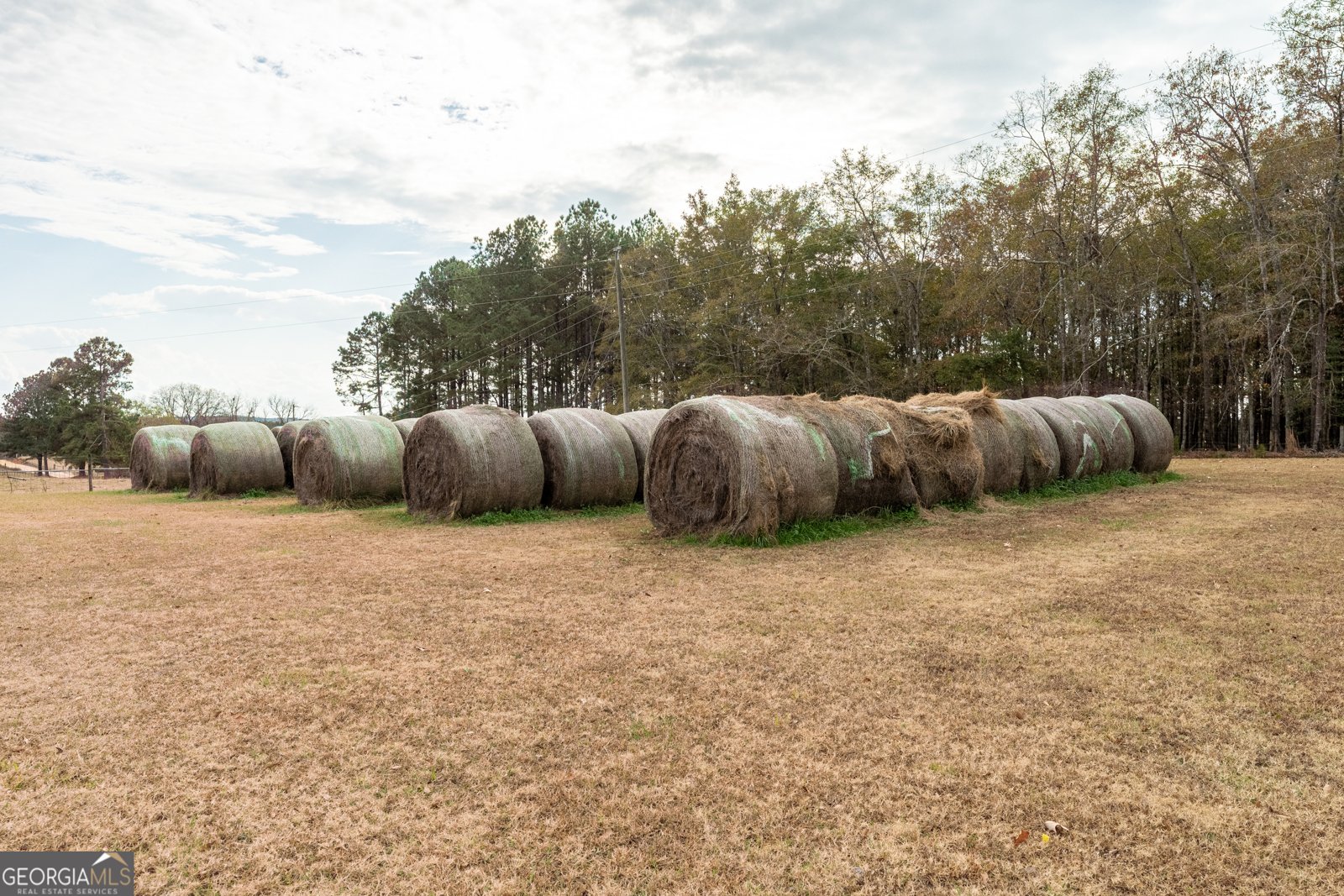 485 Thompson Road Sparta - 76