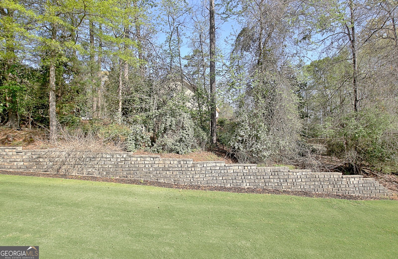 100 Smokerise Trace Peachtree City - 39