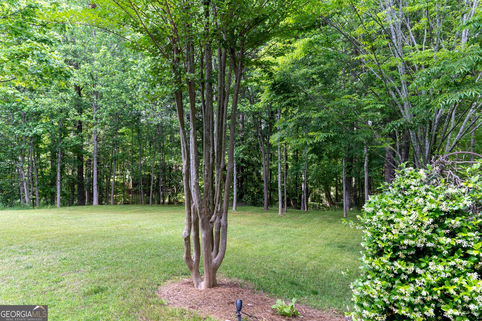 515 Edgewood Drive Athens - 10