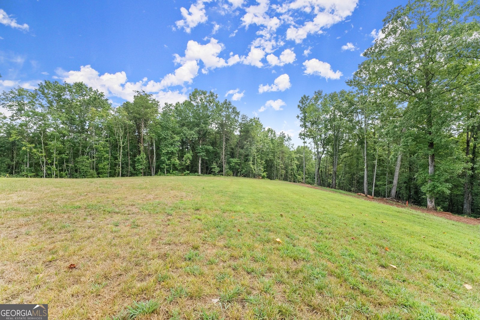147 Jess Hunt W 60+ Acres Cleveland - 52