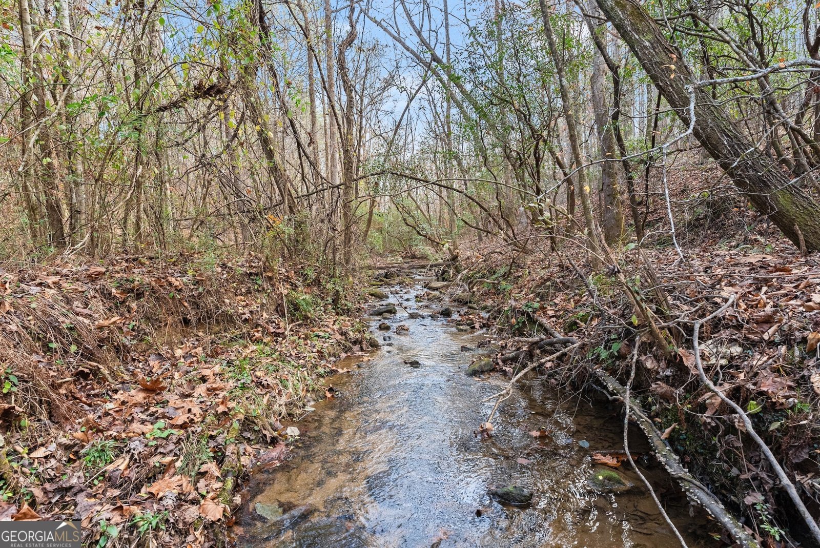 147 Jess Hunt W 60+ Acres Cleveland - 62