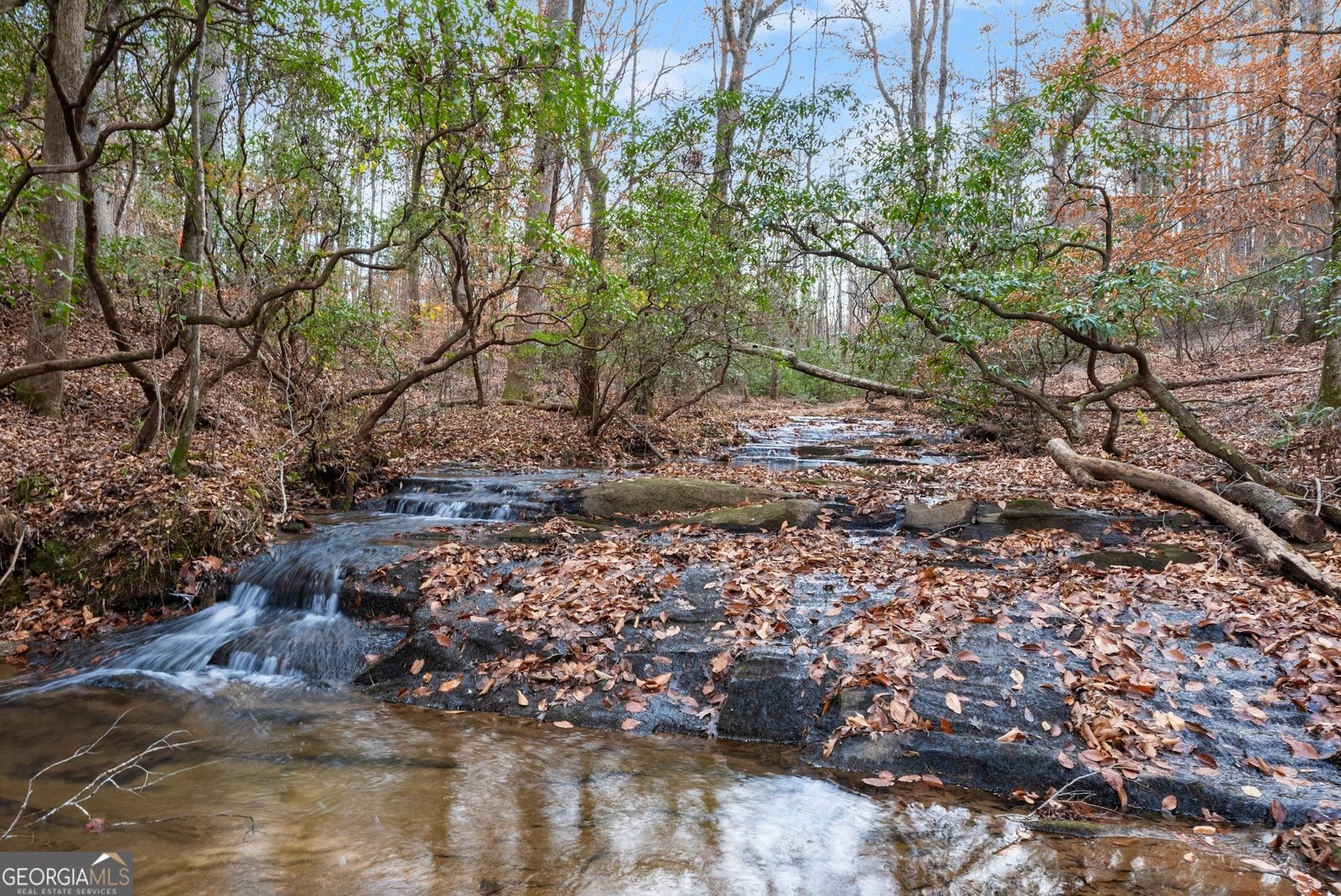 147 Jess Hunt W 60+ Acres Cleveland - 67